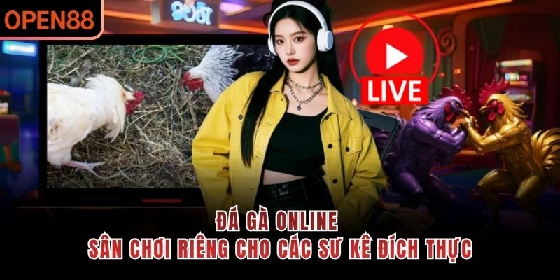 Đá gà online – Sân chơi riêng cho các sư kê đích thực