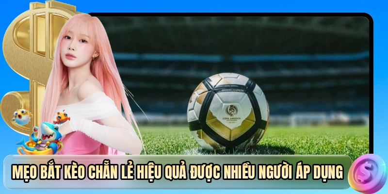 Mẹo bắt kèo chẵn lẻ hiệu quả được nhiều người áp dụng