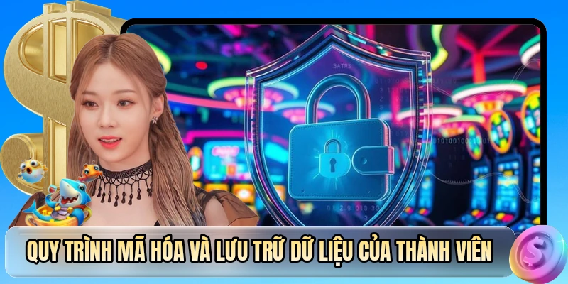 Quy trình mã hóa và lưu trữ dữ liệu của thành viên