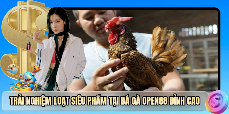 Trải nghiệm loạt siêu phẩm tại đá gà OPEN88 đỉnh cao