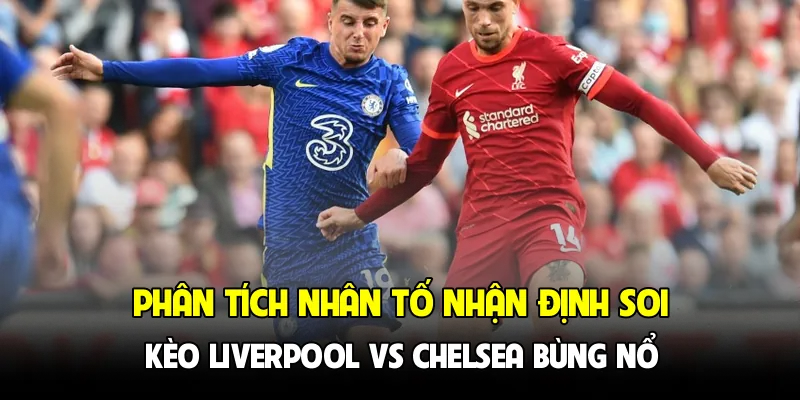 Phân tích nhân tố nhận định soi kèo Liverpool vs Chelsea bùng nổ